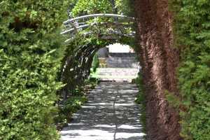 carrick hill 2014 (48)